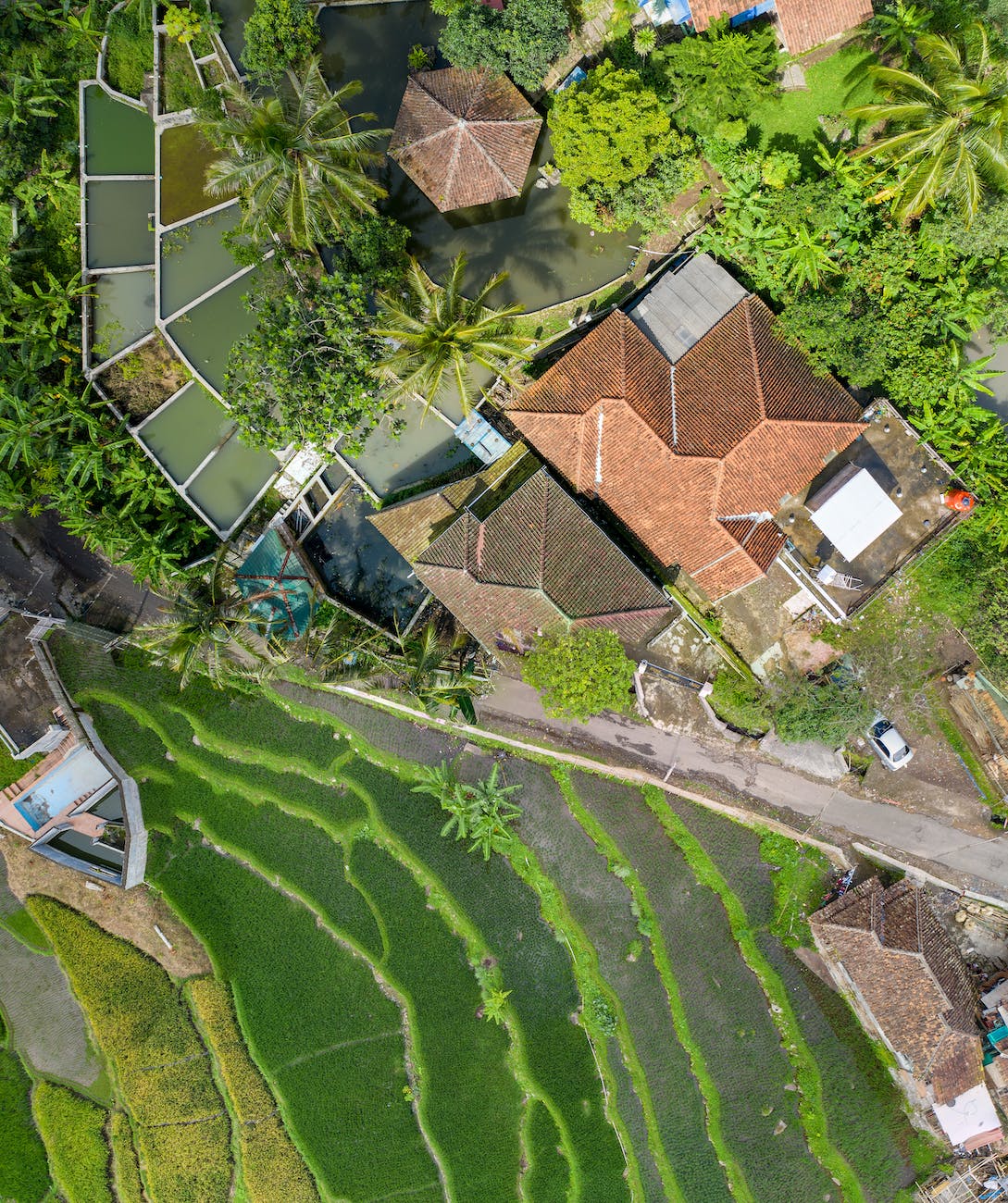 aerial view of house